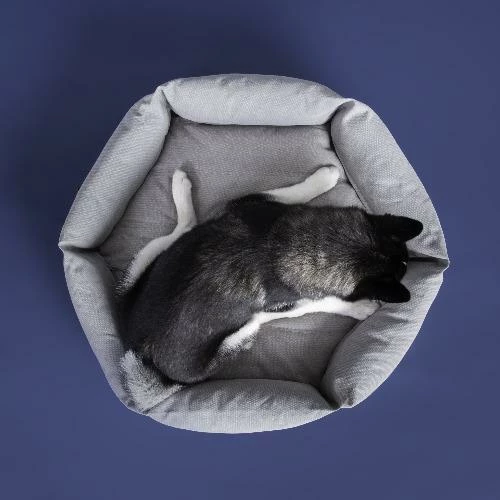 Hot Sale ๐ Velvet Hippo Live Canvas Hex Cushion - Stone ๐ฅ 11 Velvet Hippo Live Canvas Hex Cushion - Stone