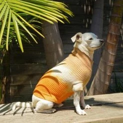 Ruby Rufus Wear The Major Sand/Tangerine