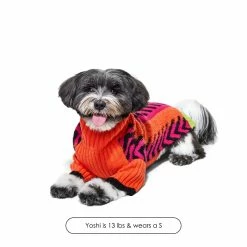 Just Fred Lil Baddie - Orange Crush New