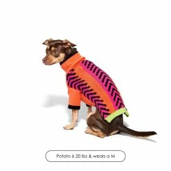 Just Fred Lil Baddie - Orange Crush New