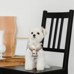 Discount 🤩 Mon Cheri Ribbed Button Stripe Top 🛒 17 Mon Cheri Ribbed Button Stripe Top