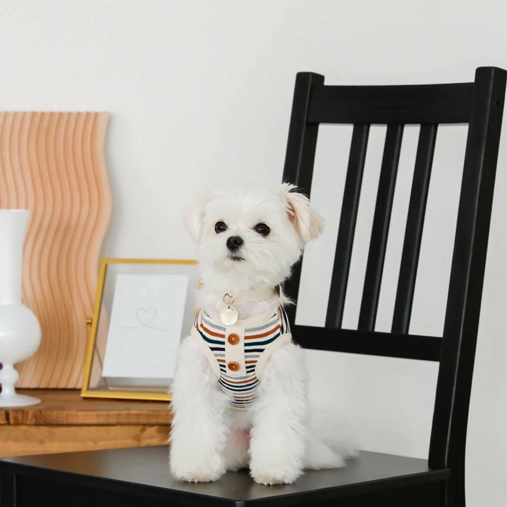 Discount 🤩 Mon Cheri Ribbed Button Stripe Top 🛒 10 Mon Cheri Ribbed Button Stripe Top