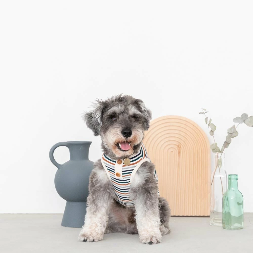 Discount 🤩 Mon Cheri Ribbed Button Stripe Top 🛒 5 Mon Cheri Ribbed Button Stripe Top