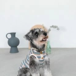 Discount 🤩 Mon Cheri Ribbed Button Stripe Top 🛒 13 Mon Cheri Ribbed Button Stripe Top