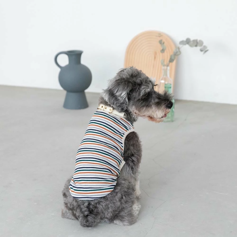 Discount 🤩 Mon Cheri Ribbed Button Stripe Top 🛒 7 Mon Cheri Ribbed Button Stripe Top