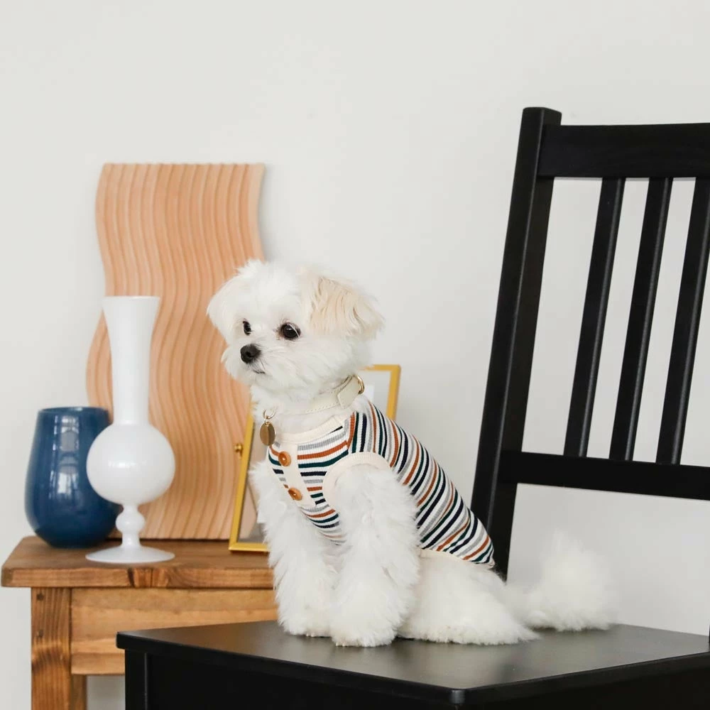 Discount 🤩 Mon Cheri Ribbed Button Stripe Top 🛒 8 Mon Cheri Ribbed Button Stripe Top