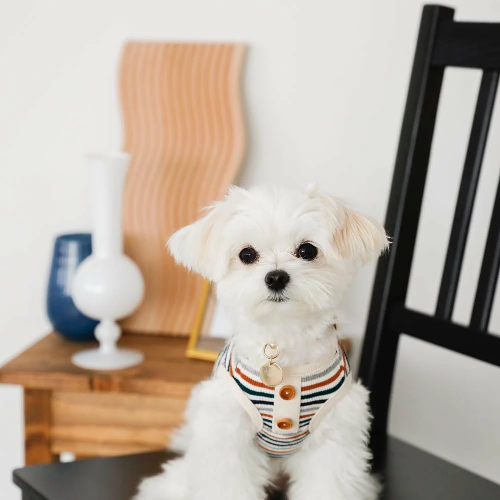 Discount 🤩 Mon Cheri Ribbed Button Stripe Top 🛒 9 Mon Cheri Ribbed Button Stripe Top