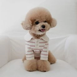 Near By Us Stripe Collar Top Pink