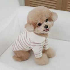 Near By Us Stripe Collar Top Pink