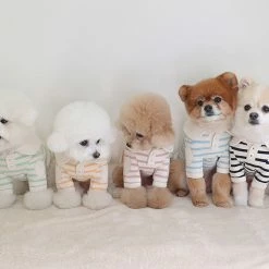 Near By Us Stripe Collar Top Pink