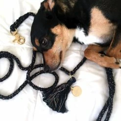 Notyers Satellite Leash