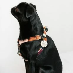 Coupon ๐ Nice Digs Making Shapes Printed Harness Walk ๐งจ 10 Nice Digs Making Shapes Printed Harness Walk