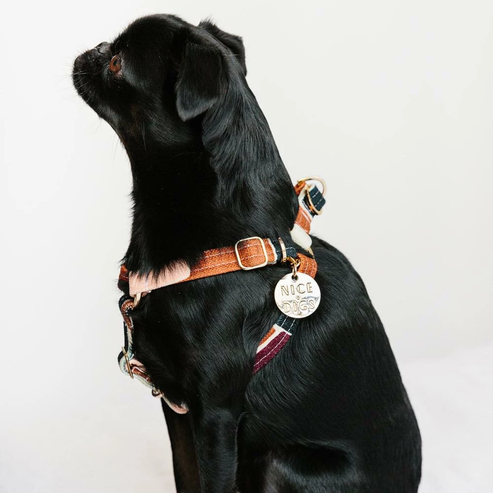 Coupon ๐ Nice Digs Making Shapes Printed Harness Walk ๐งจ 6 Nice Digs Making Shapes Printed Harness Walk