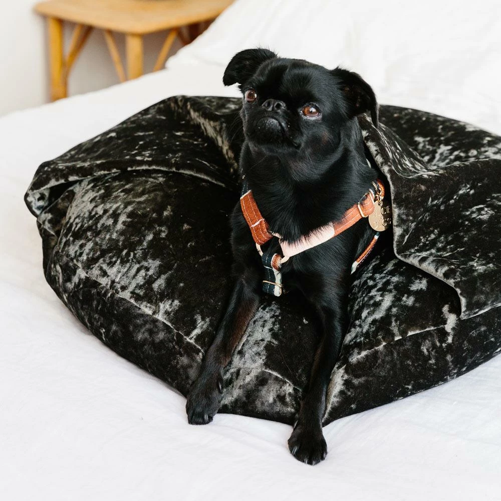 Coupon ๐ Nice Digs Making Shapes Printed Harness Walk ๐งจ 7 Nice Digs Making Shapes Printed Harness Walk