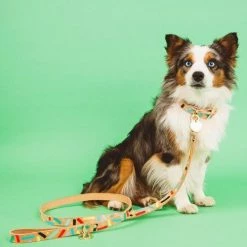 Nice Digs Confetti Leash