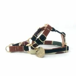 Nice Digs Making Shapes Printed Harness Walk