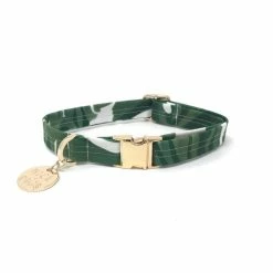 Nice Digs Monstera Printed Collar Walk