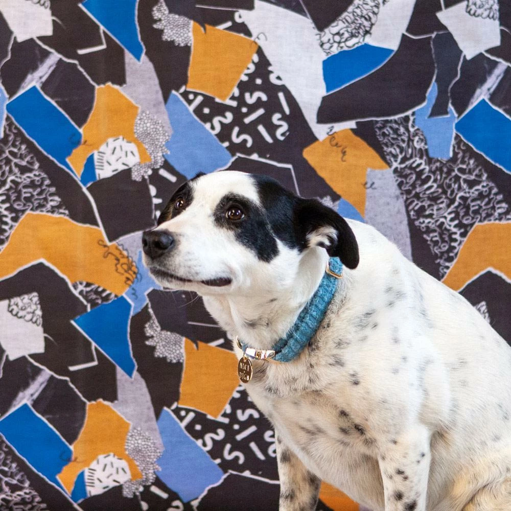 Buy π Nice Digs Walk Jumbo Cord Collar Sky π 4 Nice Digs Walk Jumbo Cord Collar Sky