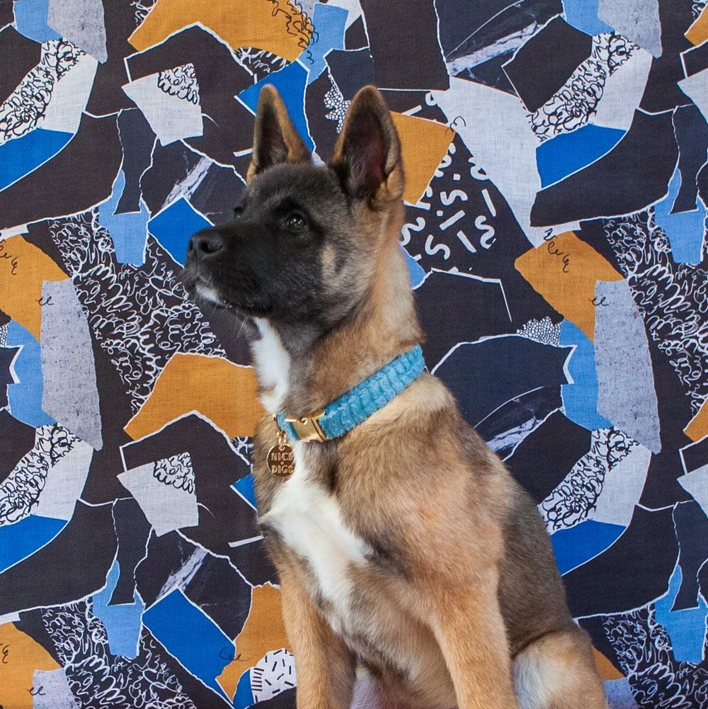 Buy π Nice Digs Walk Jumbo Cord Collar Sky π 7 Nice Digs Walk Jumbo Cord Collar Sky