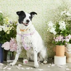 New ๐ Nice Digs Cord Non Pull Harness Lilac ๐ฅ 12 Nice Digs Cord Non Pull Harness Lilac