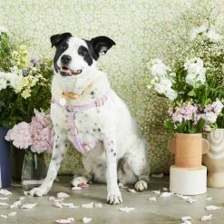 New ๐ Nice Digs Cord Non Pull Harness Lilac ๐ฅ 13 Nice Digs Cord Non Pull Harness Lilac