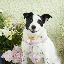 Nice Digs Cord Non Pull Harness Lilac