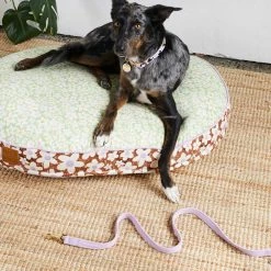 Nice Digs Cord Leash Lilac Walk