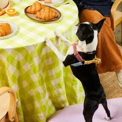 Nice Digs Cord Non Pull Harness Sorbet Walk