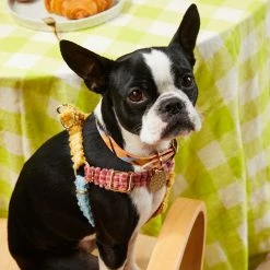 Nice Digs Cord Non Pull Harness Sorbet Walk