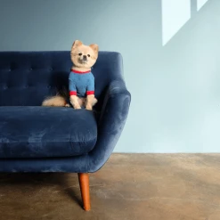 One Of Us Alien Onesie Short Sleeves Wear