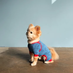 One Of Us Alien Onesie Short Sleeves Wear