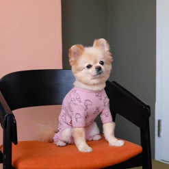 One Of Us Alien Onesie Short Sleeves Wear