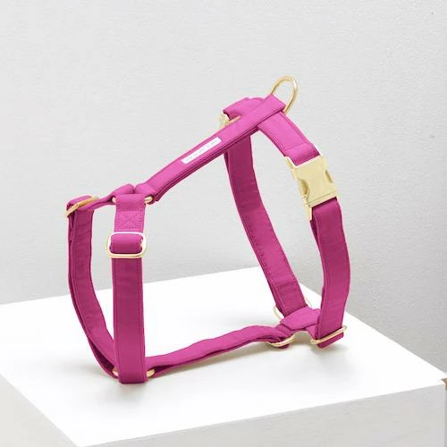 Wholesale ๐ See Scout Sleep The Scot Harness Magenta Walk โจ 3 See Scout Sleep The Scot Harness Magenta Walk