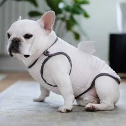 Pipolli Quilted Angel Vest