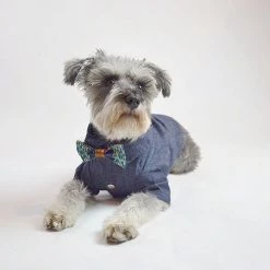 Reformed School African Print Dutch Wax Bow Tie Style