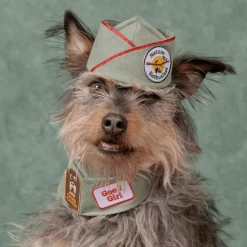 Coupon ๐ Scout's Honor Charms And Trinkets Nature Enthusiast Merit Badge ๐ฏ 10 Scout's Honor Charms And Trinkets Nature Enthusiast Merit Badge