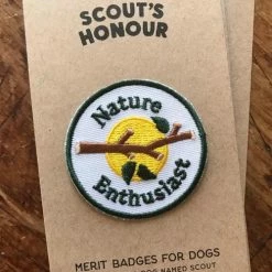 Coupon ๐ Scout's Honor Charms And Trinkets Nature Enthusiast Merit Badge ๐ฏ 12 Scout's Honor Charms And Trinkets Nature Enthusiast Merit Badge
