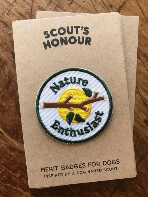 Coupon ๐ Scout's Honor Charms And Trinkets Nature Enthusiast Merit Badge ๐ฏ 7 Scout's Honor Charms And Trinkets Nature Enthusiast Merit Badge