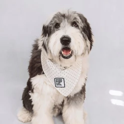 Scout's Honor Oversized Lap Dog Merit Badge Charms And Trinkets