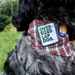 Scout's Honor Oversized Lap Dog Merit Badge Charms And Trinkets