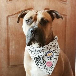 Scout's Honor Oversized Lap Dog Merit Badge Charms And Trinkets