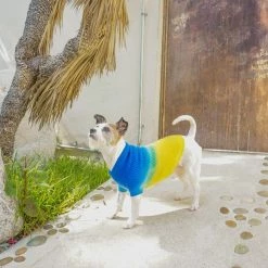 Ruby Rufus The Major Blueberry/Pineapple