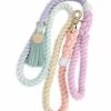 Cheapest ✔️ Notyers Sorbet Leash Walk 😍 2 Notyers Sorbet Leash Walk