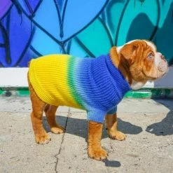 Ruby Rufus The Major Blueberry/Pineapple