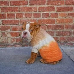 Ruby Rufus Wear The Major Sand/Tangerine