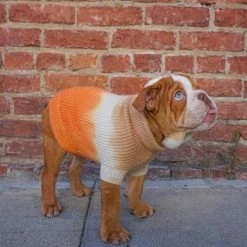 Ruby Rufus Wear The Major Sand/Tangerine