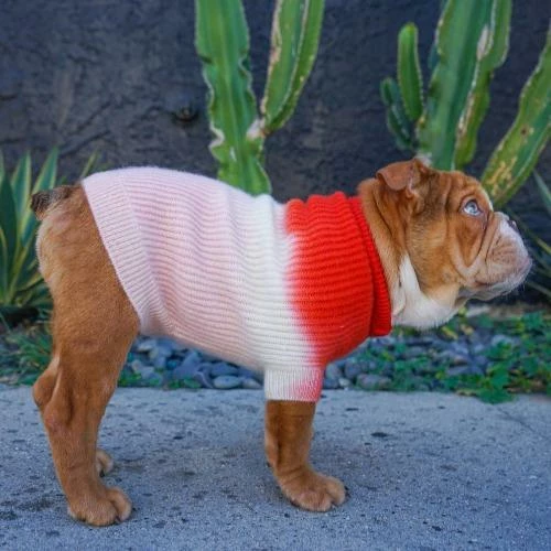 Best deal 😍 Ruby Rufus The Major Fire Hydrant/Sugar ⌛ 6 Ruby Rufus The Major Fire Hydrant/Sugar