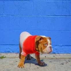 Best deal 😍 Ruby Rufus The Major Fire Hydrant/Sugar ⌛ 12 Ruby Rufus The Major Fire Hydrant/Sugar