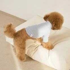 Small Stuff Ribbed Turtleneck Tee Blue