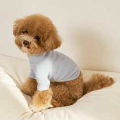 Small Stuff Ribbed Turtleneck Tee Blue